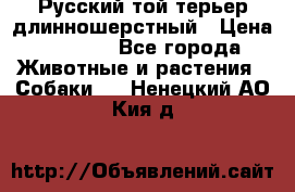 Русский той-терьер длинношерстный › Цена ­ 7 000 - Все города Животные и растения » Собаки   . Ненецкий АО,Кия д.